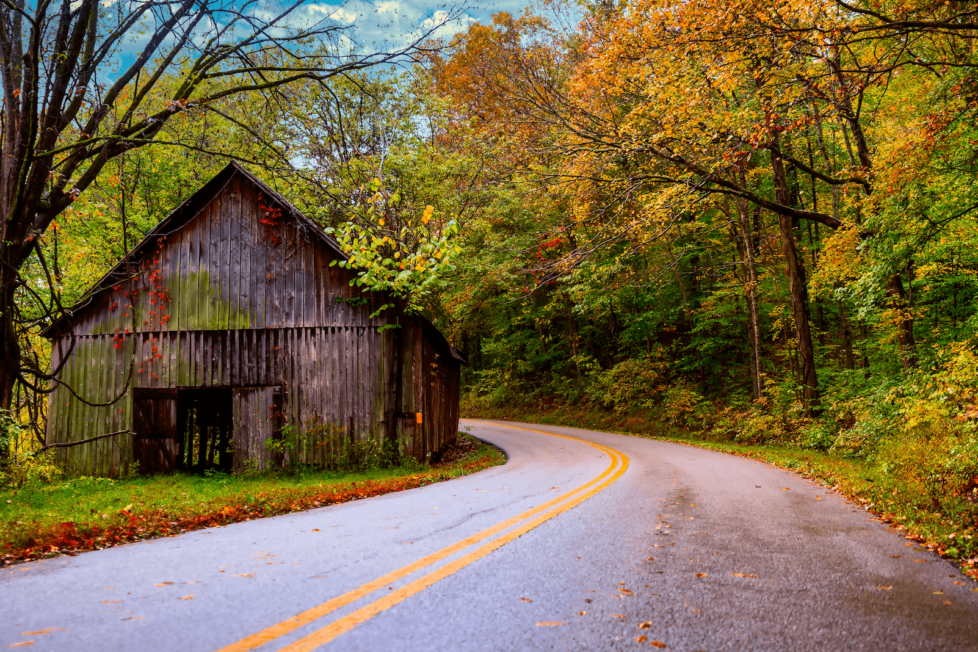 Cadiz Trigg, KY